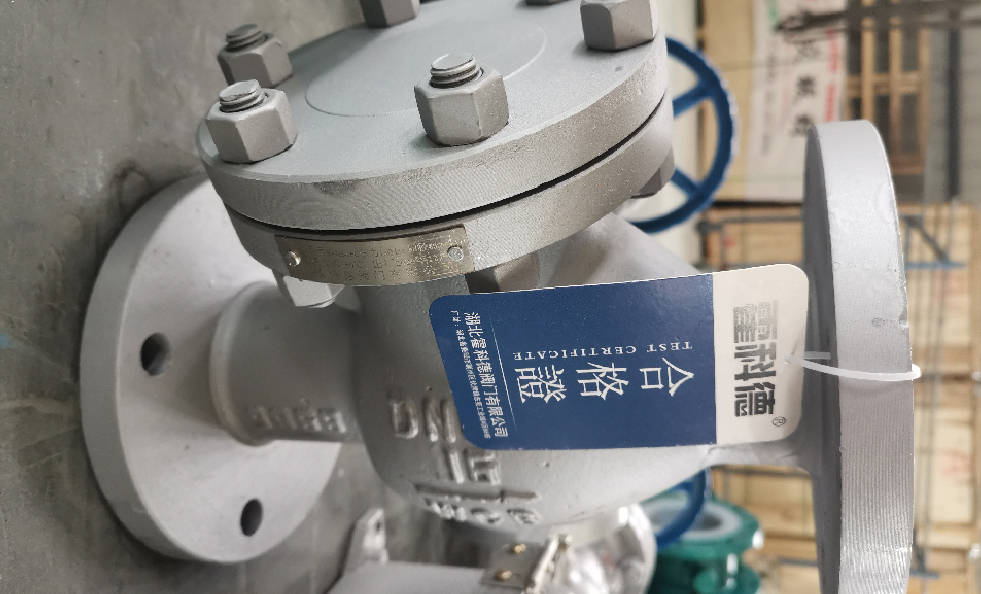 江苏省南通市污水处理止回阀项目.jpg